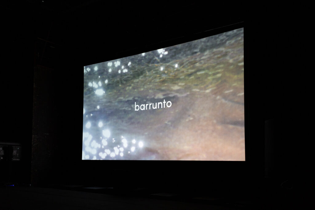 Image of a projected screen with film still of an abstract water, perhaps a river. The word "barrunto" is in white text superimposed on top of the image.