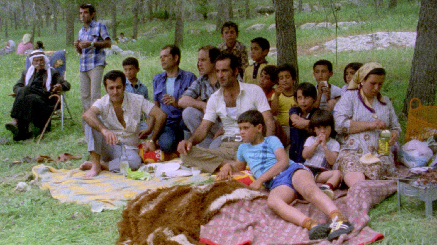 1. A group of Palestinians picnicking on the site of their former village. The photo is of a group primarily of men and young boys, with a woman sat to the side and an elderly man seated on a lawn chair behind them. They are in the shade of a new forest of young coniferous trees.